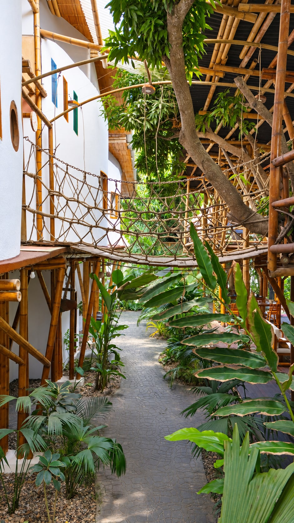 Puente de cuerdas entre árboles